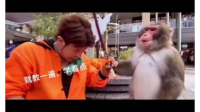 就教一遍，学着点