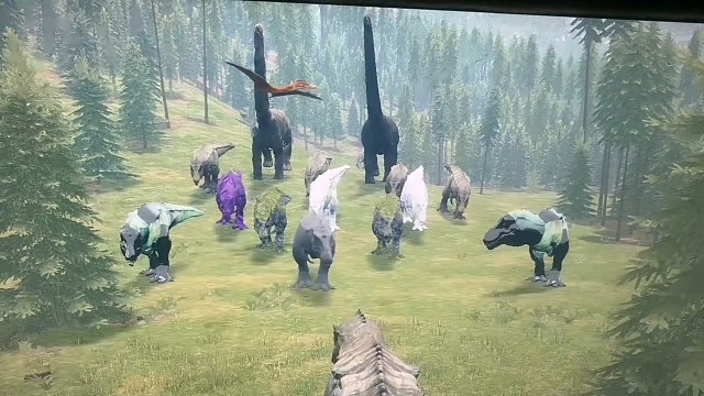 来游戏一起跳舞吧！