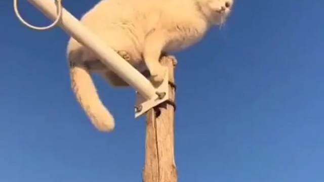 看到最后，脑瓜子嗡嗡的