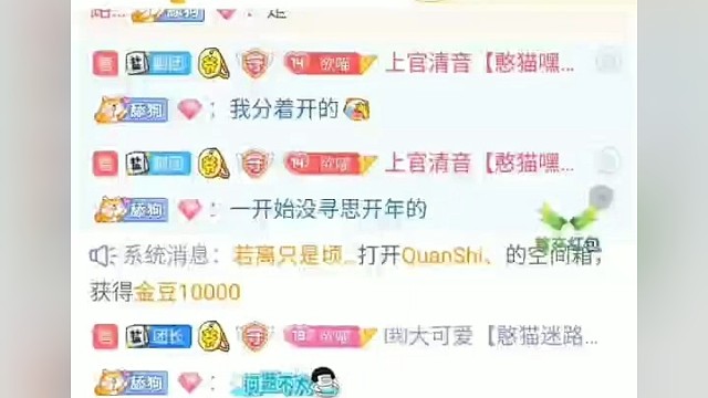 猫的第一架私人战机