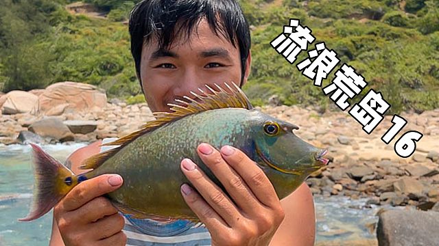 利用椰肉磨成泥后做饼吃，海钓又让我们吃上了烤鱼，流浪荒岛16