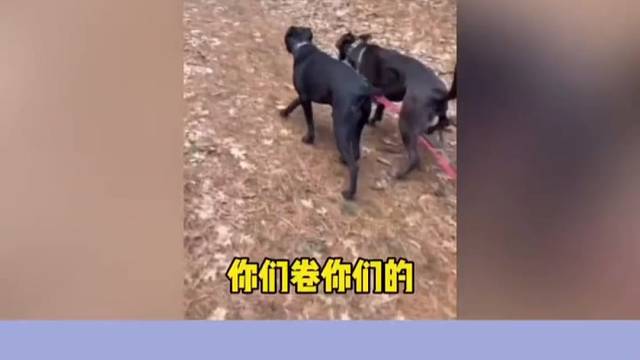 传说中的躺赢？