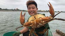 大哥包地笼网赚了吗，连出十几斤大青蟹，还有各种海货太爽了