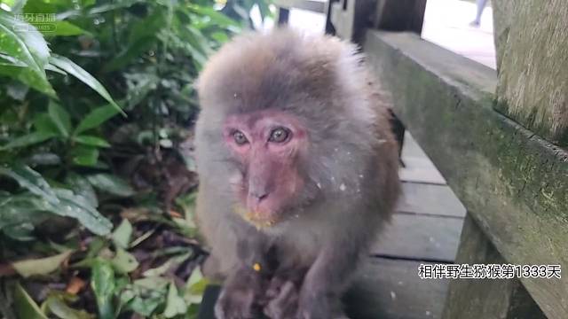 帕金森（减法）