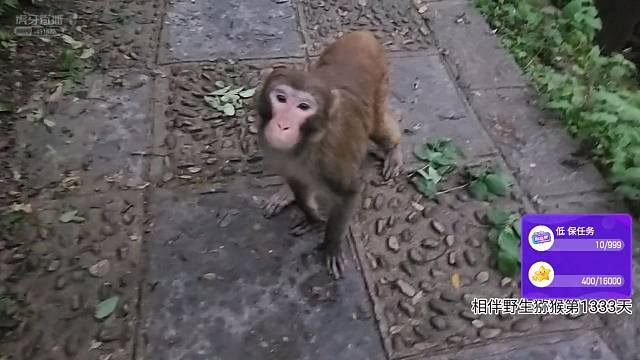 这个视频不看，你们会后悔滴