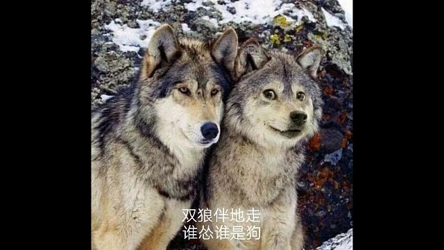 压迫感
