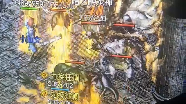 发现一个新物种