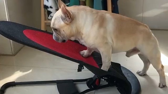 这睡眠质量，绝对了