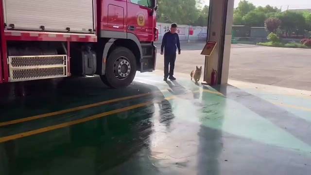 笑死了，但没有完全笑死