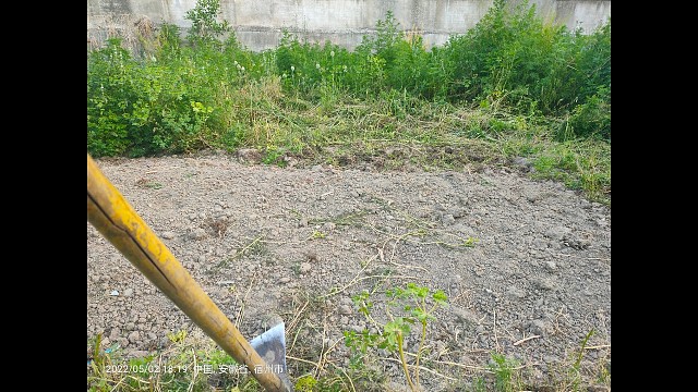 开垦块土地，种点蔬菜