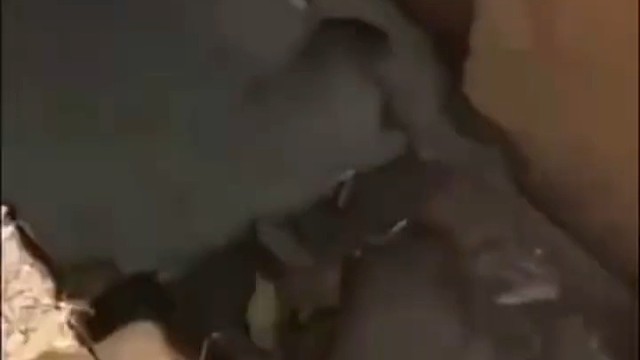 开心一天ヽ(○^㉨^)ﾉ♪