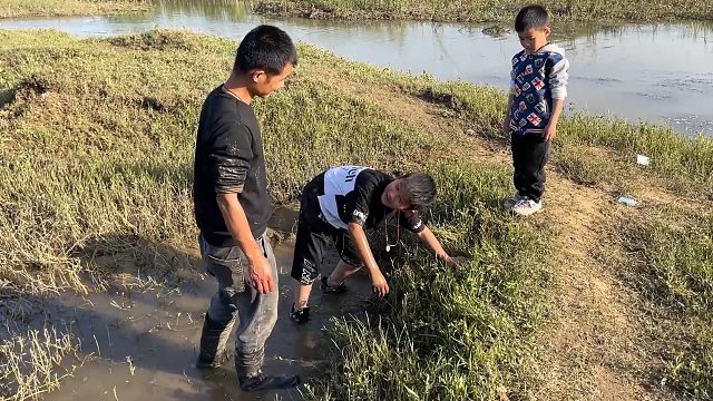 小伙带俩儿子去捉龙虾，刚去就有意外之喜，最后收获颇丰啊
