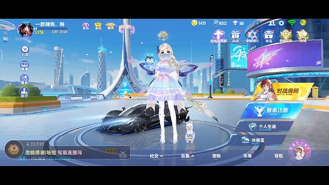 娱乐主播，技术还行