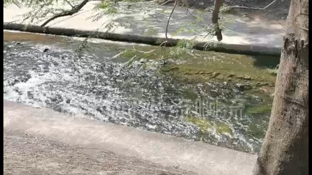 小河流水哗啦啦啦