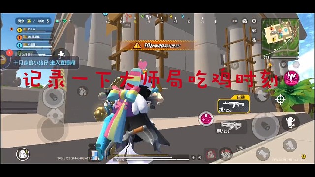 野排吃鸡（下）大师局