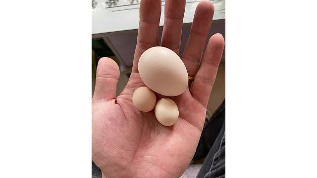 我发布了一个新视频，快来围观吧！