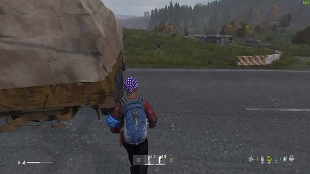 DAYZ萌新求生招绿色队友