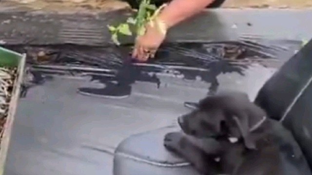 这样的干活方式我还第一次见