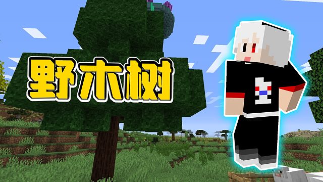 我的世界重生危机31：在花药台做出野木树苗，将野木转化为活木