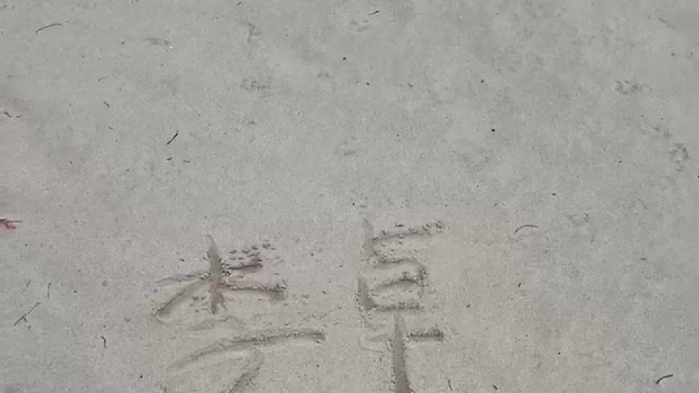 兄弟带我的名字看北海
