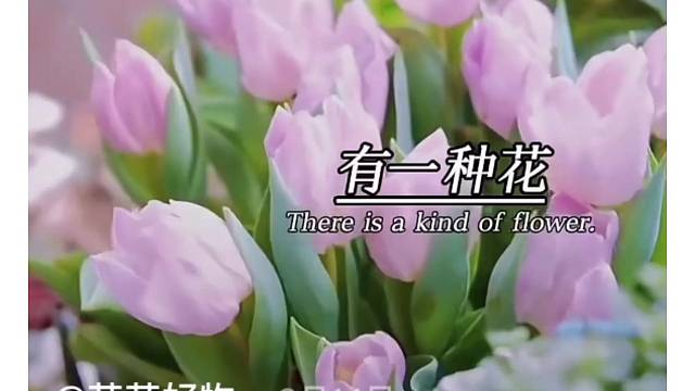 我发布了一个新视频，快来围观吧！