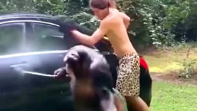 主人我来帮你洗车