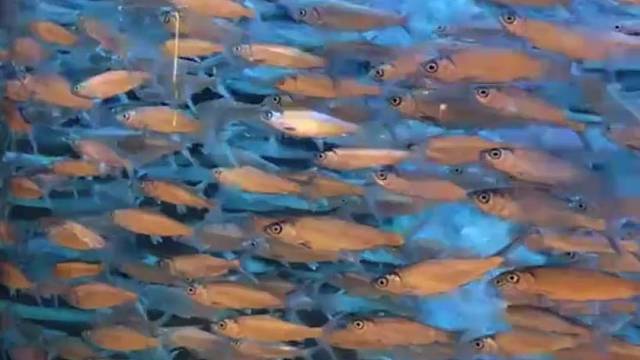 妈你看好漂亮呀！回忆下美好的时候#旅游的美好#妈妈#鱼摆摆