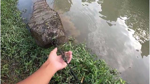 看看大爷放的地笼有没有大货果然没叫人失望啊