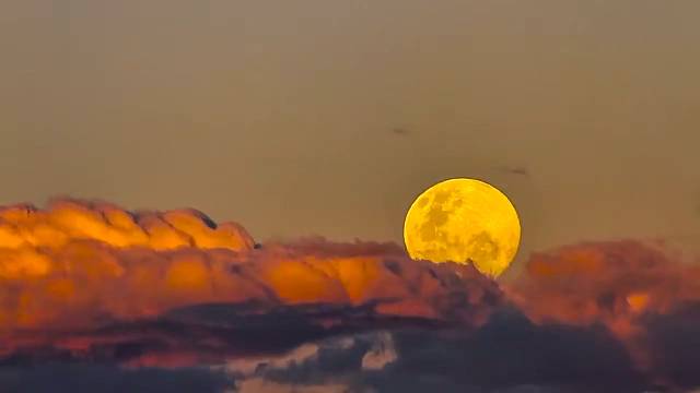 又到了看夕阳的季节啦