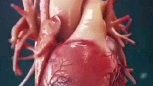 这种精妙的设计不值得人类深思吗人怎能不知感恩呢