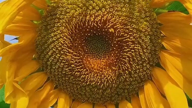 稳稳重重，心心相连，幸福的选择，珍贵的财富，唯有爱，可闻四季花香，唯有未来，可抵浪漫时光，牵尔玉手，