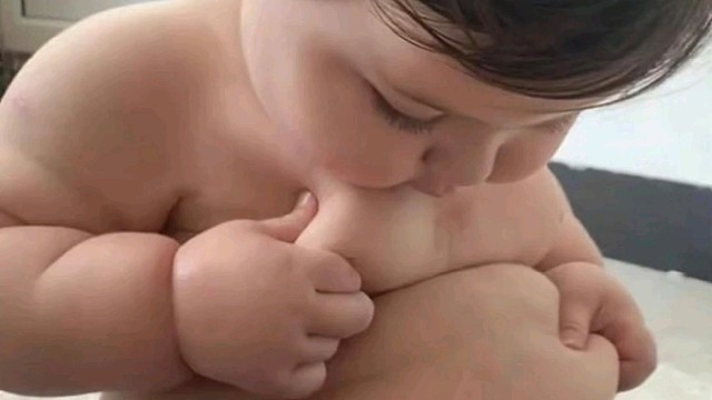 阿尔戈战场记录1