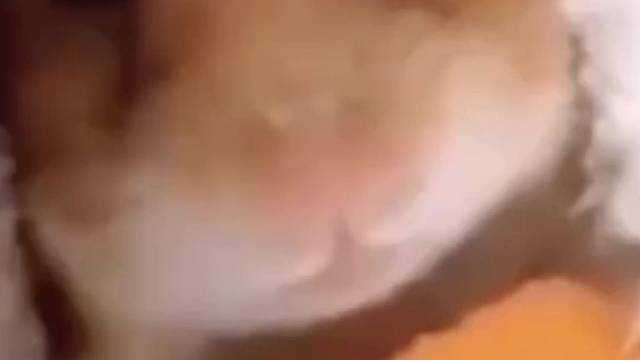 阿吧啊吧