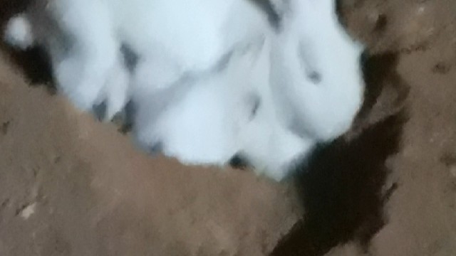 兔妈妈喂宝宝，好可爱！