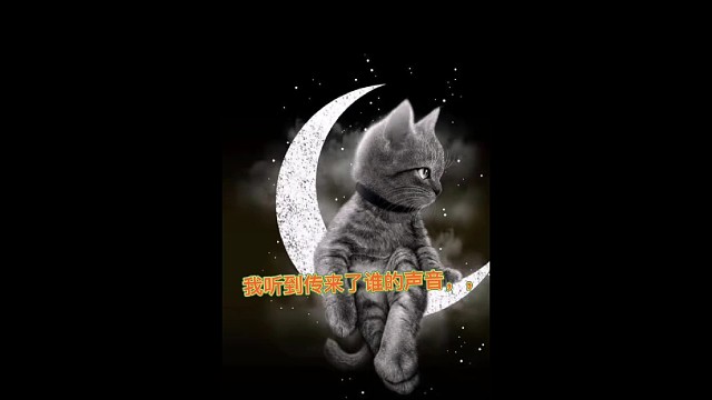 谢我冬哥，承蒙不弃感恩有冬，不弃不离