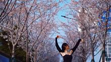 如果快乐不易，我祝你永远平安。 #浪漫樱花 #古典舞