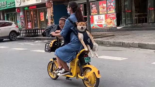 你还好意思对着我笑