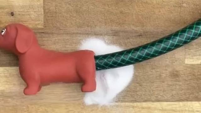 他为什么这么残忍的对这个小狗狗