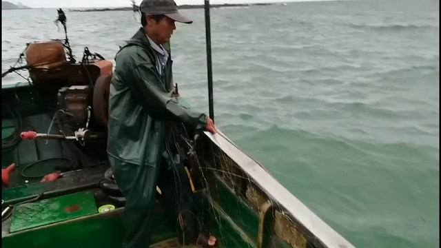 海上捕鱼，金鲳鱼非常多。