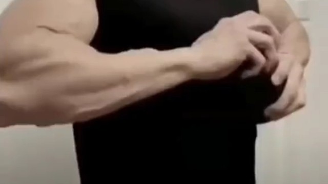 当你的宠物吃了蛋白粉