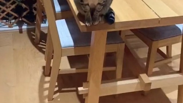 有人爱着他，真好