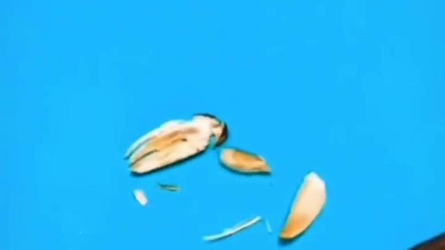 厨房生活小妙招，你学会了吗