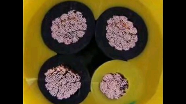 我们一定会远征，我们一定会凯旋归来