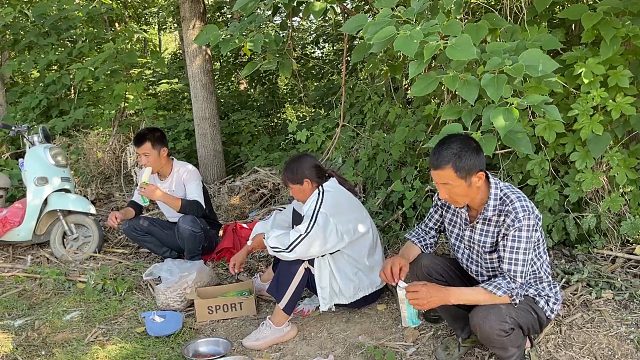 农忙季节：一家人地里种花生，累了蹲地头吃个雪糕，真得劲
