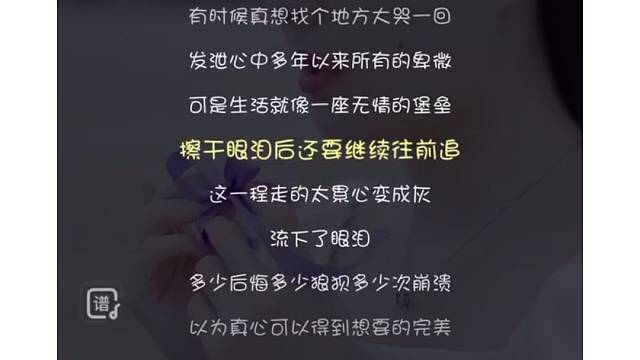 我很懒、没标题