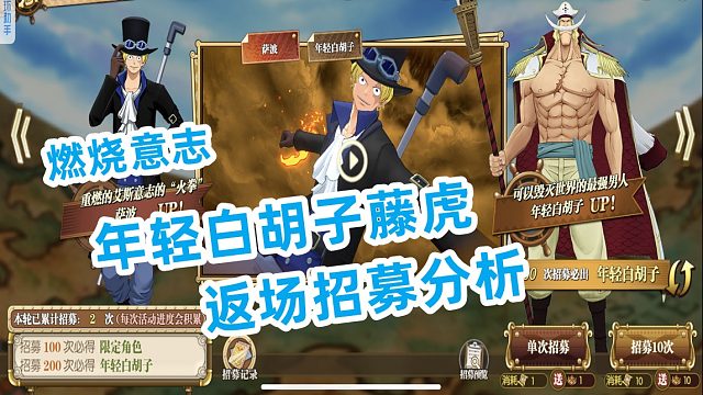 燃烧意志：年轻白胡子藤虎限定返场招募分析
