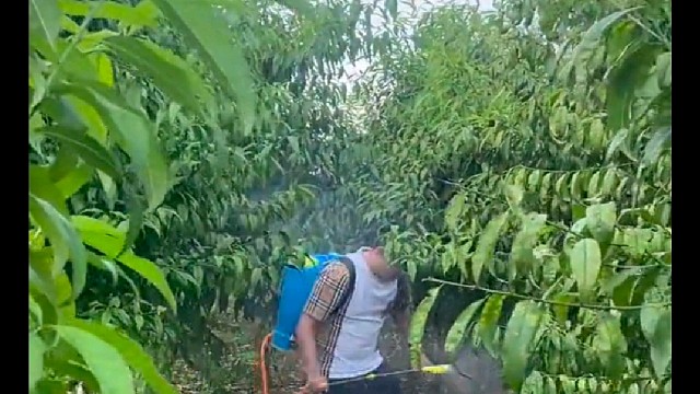 你接下来可能也会懵逼！