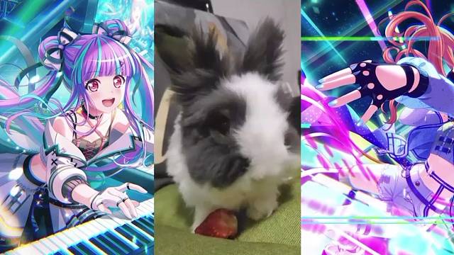 手机拍的小兔子吃草莓