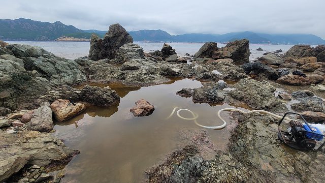 赤潮来袭海水一片红色，水里生物异常凶猛，吓得小明直发怵