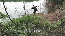 胖哥水草边路亚钓黑鱼，不料突遭大黑鱼咬口，这个鱼钓的惊心动魄